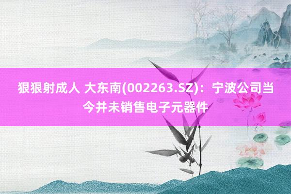 狠狠射成人 大东南(002263.SZ)：宁波公司当今并未销售电子元器件