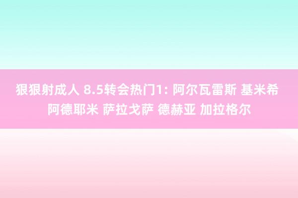 狠狠射成人 8.5转会热门1: 阿尔瓦雷斯 基米希 阿德耶米 萨拉戈萨 德赫亚 加拉格尔