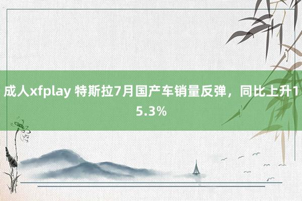 成人xfplay 特斯拉7月国产车销量反弹，同比上升15.3%