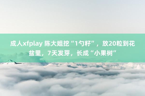 成人xfplay 陈大姐挖“1勺籽”，放20粒到花盆里，7天发芽，长成“小果树”