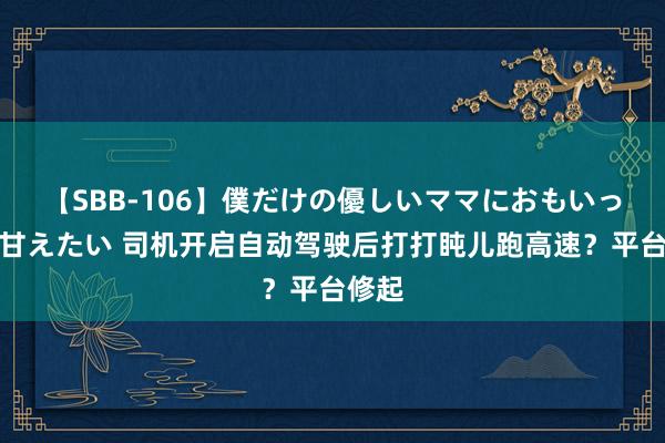 【SBB-106】僕だけの優しいママにおもいっきり甘えたい 司机开启自动驾驶后打打盹儿跑高速？平台修起