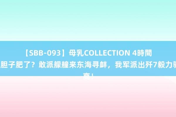 【SBB-093】母乳COLLECTION 4時間 荷兰胆子肥了？敢派艨艟来东海寻衅，我军派出歼7毅力驱离！