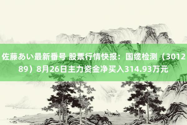 佐藤あい最新番号 股票行情快报：国缆检测（301289）8月26日主力资金净买入314.93万元