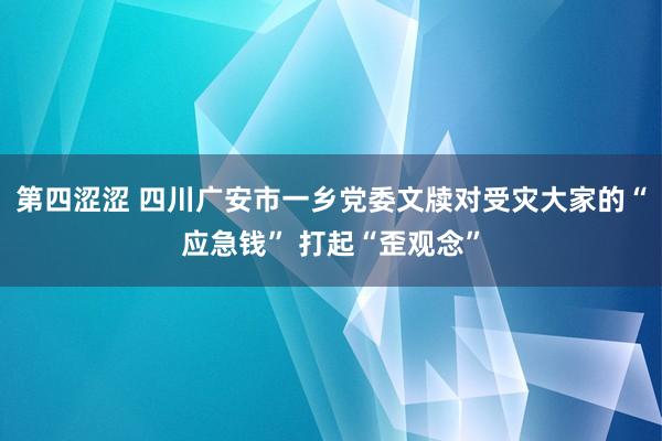 第四涩涩 四川广安市一乡党委文牍对受灾大家的“应急钱” 打起“歪观念”