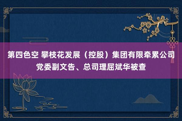 第四色空 攀枝花发展（控股）集团有限牵累公司党委副文告、总司理屈斌华被查