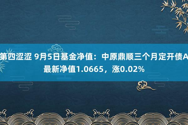 第四涩涩 9月5日基金净值：中原鼎顺三个月定开债A最新净值1.0665，涨0.02%