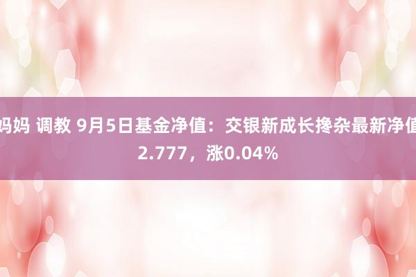 妈妈 调教 9月5日基金净值：交银新成长搀杂最新净值2.777，涨0.04%