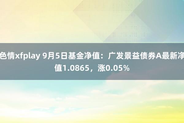 色情xfplay 9月5日基金净值：广发景益债券A最新净值1.0865，涨0.05%