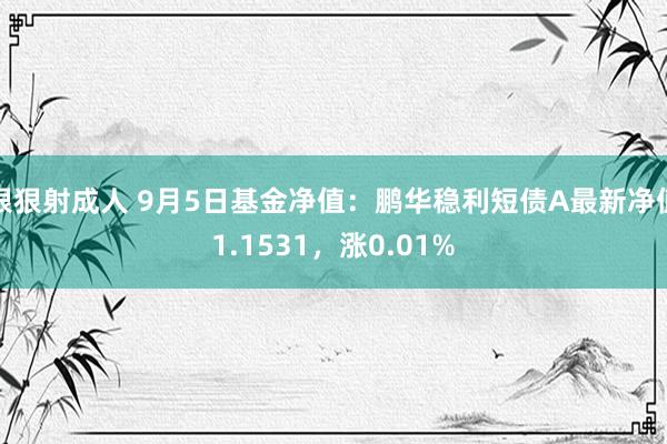 狠狠射成人 9月5日基金净值：鹏华稳利短债A最新净值1.1531，涨0.01%