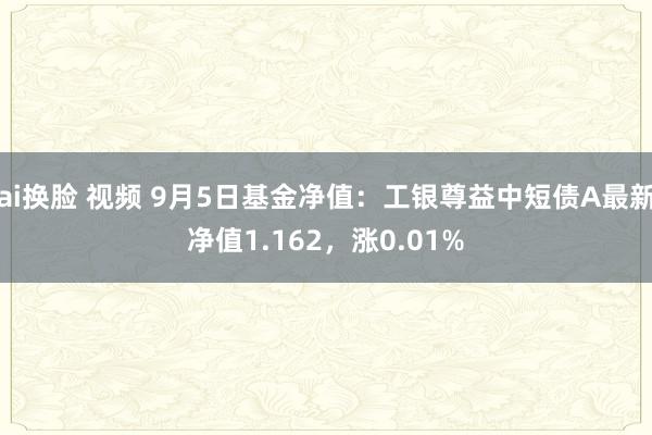 ai换脸 视频 9月5日基金净值：工银尊益中短债A最新净值1.162，涨0.01%