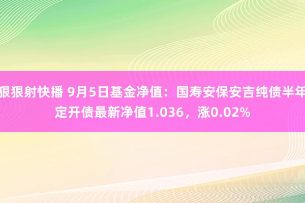 狠狠射快播 9月5日基金净值：国寿安保安吉纯债半年定开债最新净值1.036，涨0.02%