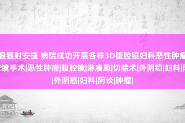 狠狠射安捷 病院成功开展各样3D腹腔镜妇科恶性肿瘤手术|腹腔镜手术|恶性肿瘤|腹腔镜|淋凑趣|切除术|外阴癌|妇科|阴谈|肿瘤|