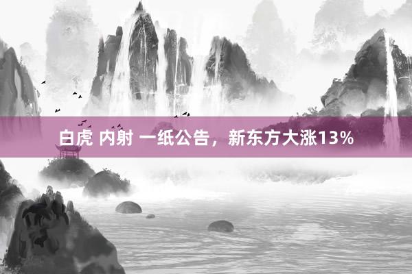 白虎 内射 一纸公告，新东方大涨13%