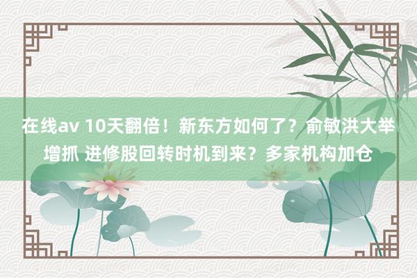 在线av 10天翻倍！新东方如何了？俞敏洪大举增抓 进修股回转时机到来？多家机构加仓