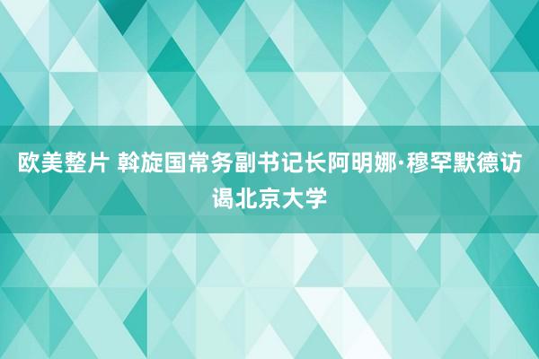 欧美整片 斡旋国常务副书记长阿明娜·穆罕默德访谒北京大学